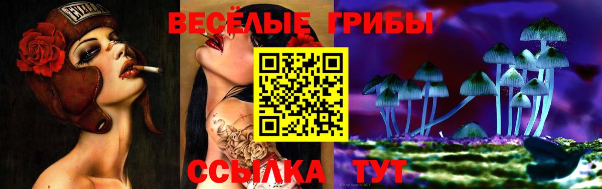 Кинешма  Галлюциногенные грибы мицелий  Вход с VPN 